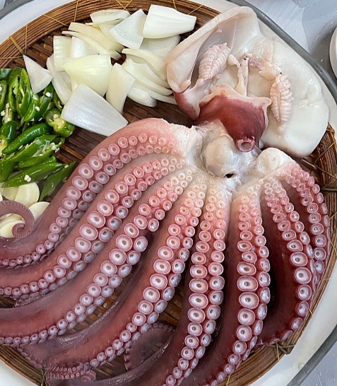 전현무계획2 문어 숙회 생골뱅이 삼척