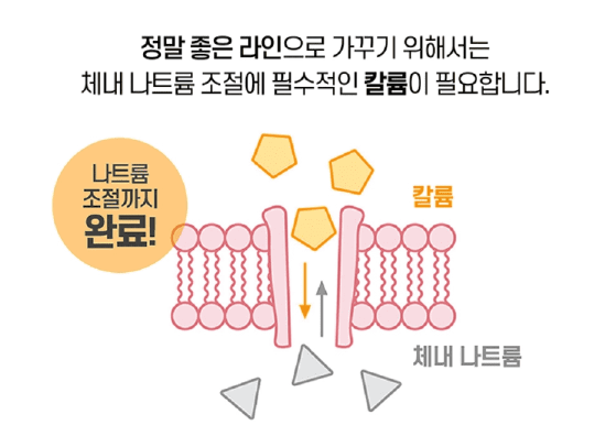 셀리트 브로멜라인 다이어트 후기 (5만원 할인 쿠폰팩 받기)