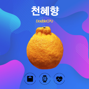 천혜향 알아보기