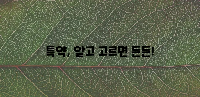 암 보험 종류별 주요 특약, 꼼꼼히 알아봐야겠죠!
