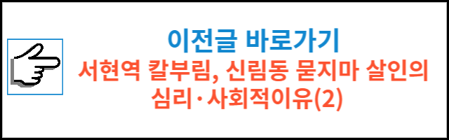 서현역 칼부림, 신림동 묻지마 살인