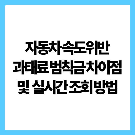 자동차 범칙금