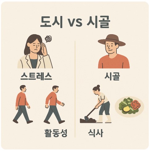 도시와 시골의 생활 건강 비교