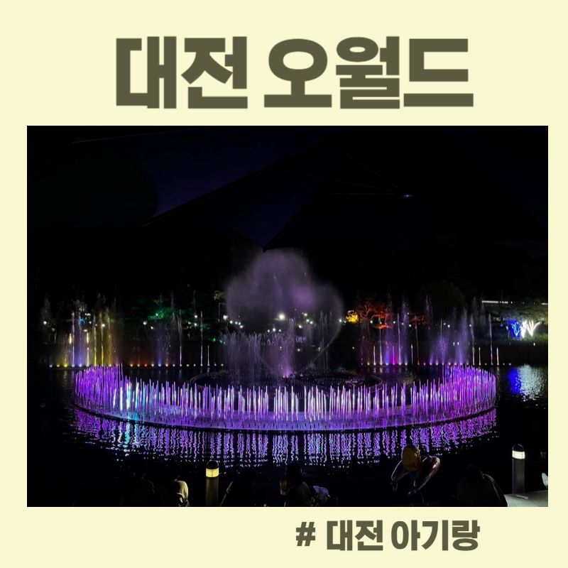 대전 오월드 야간개장