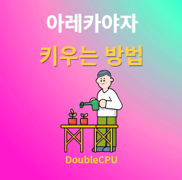 아레카야자 키우기