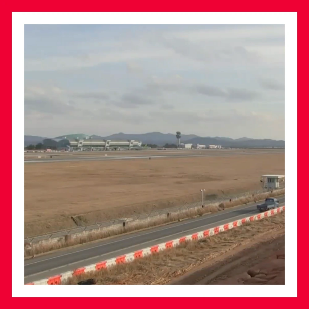 제주항공-엔진-깃털-조류충돌