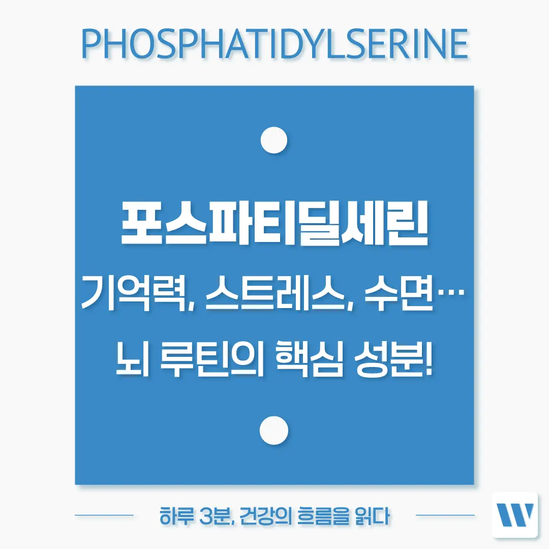 포스파티딜세린 효능 효과