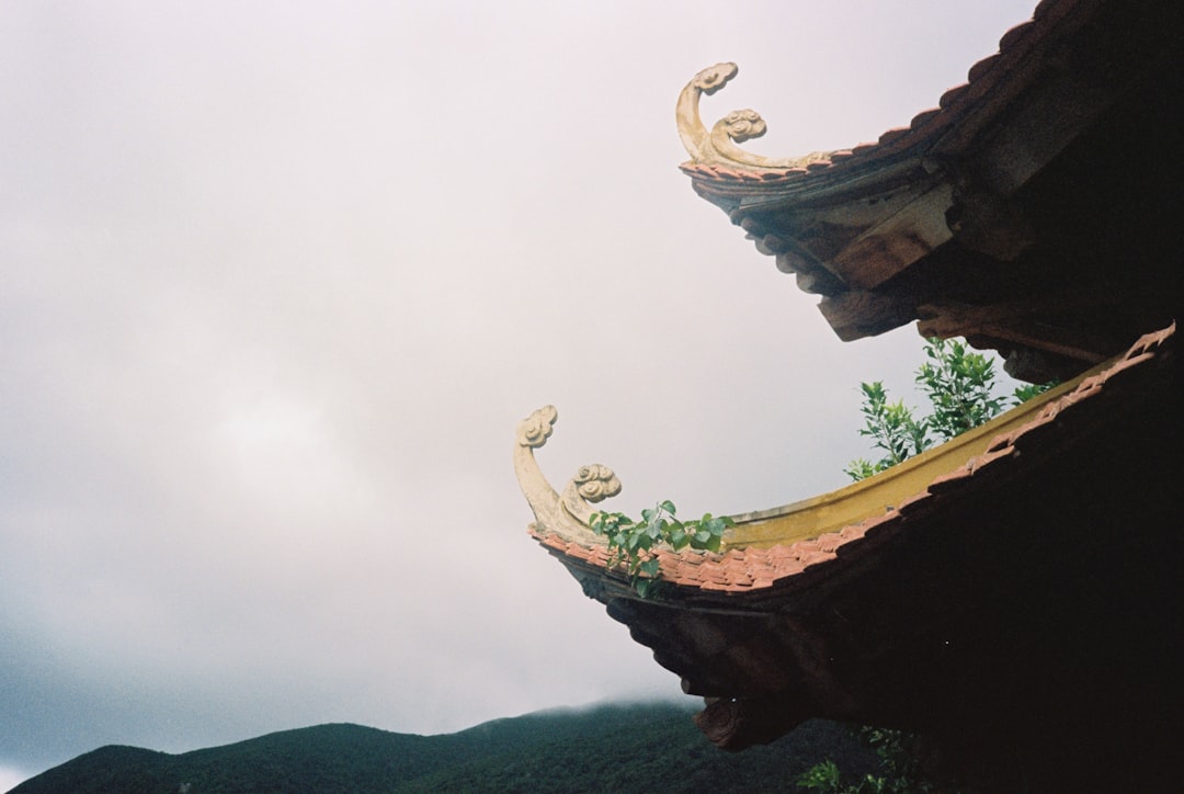 DAO