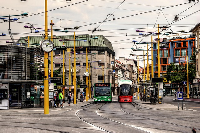 [2025 버스 파업] 종로구 무료 셔틀버스 노선&middot;시간표 안내