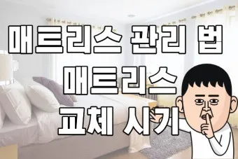 매트리스 관리 청소기 베이킹소다 회전주기 방수커버 팁_10