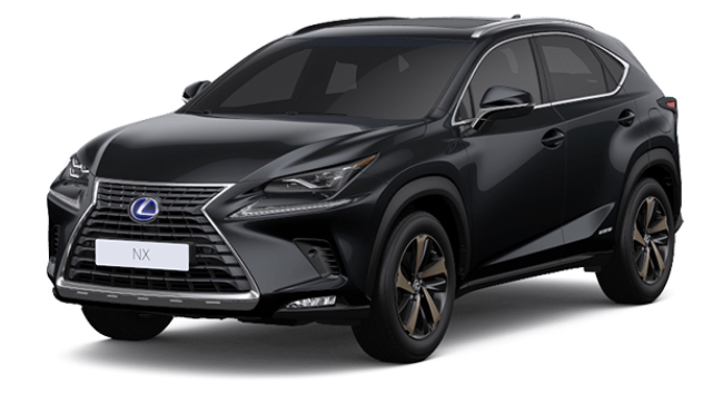 NX300h 색상코드 - GRAPHITE BLACK GLASS FLAKE(색상코드 : 223)