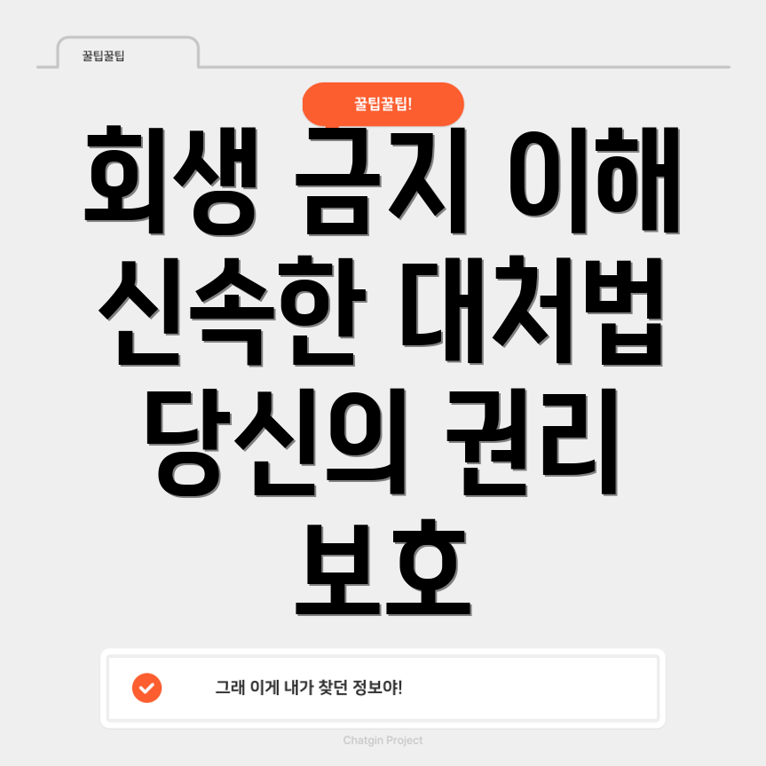 개인회생 금지명령