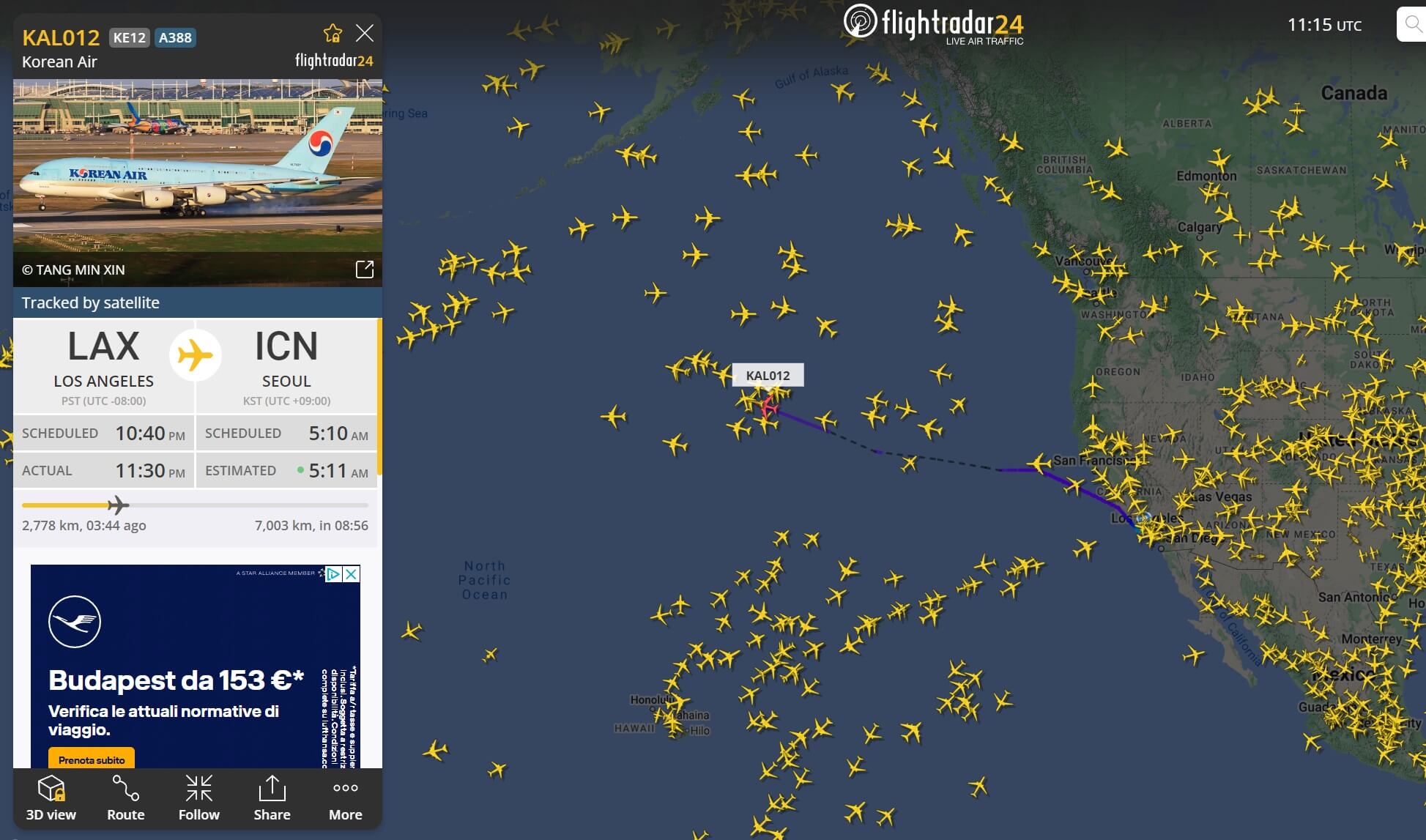 fightradar24-메인화면