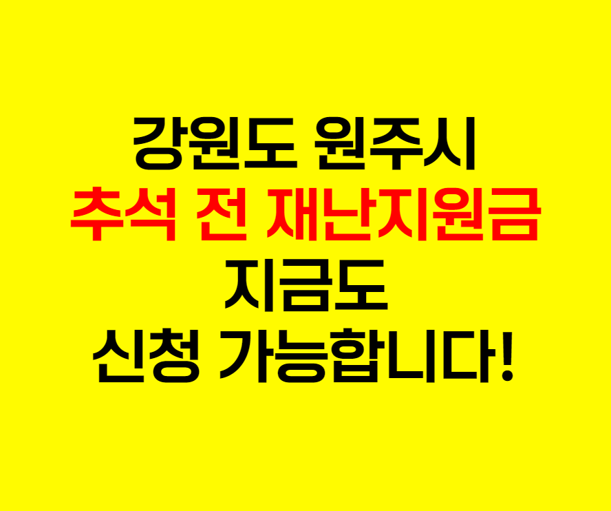 원주시재난지원금