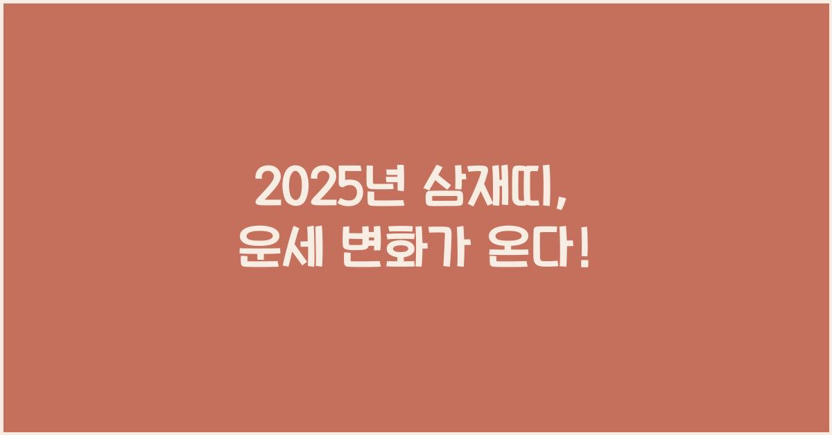2025년 삼재띠