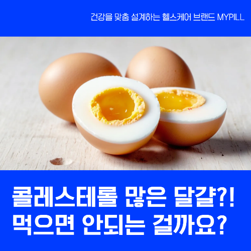 계란에는 콜레스테롤이 많나요?