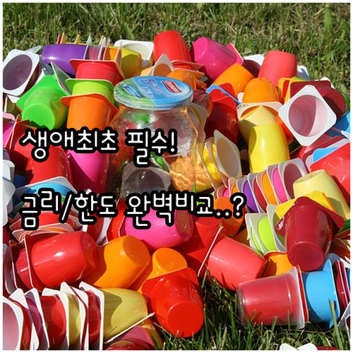 생애최초 2025 공유형모기지 대출 ..