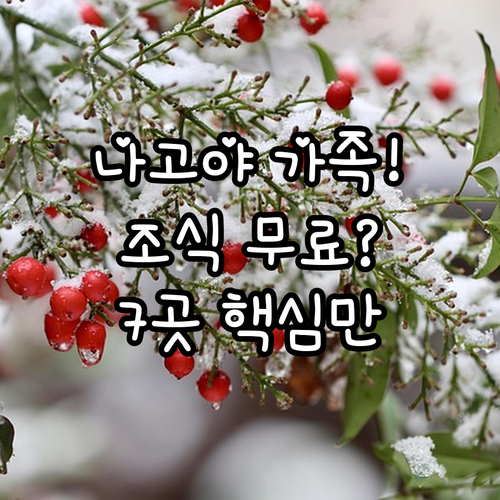 나고야 가족 여행 숙소 7개 어린이 ..