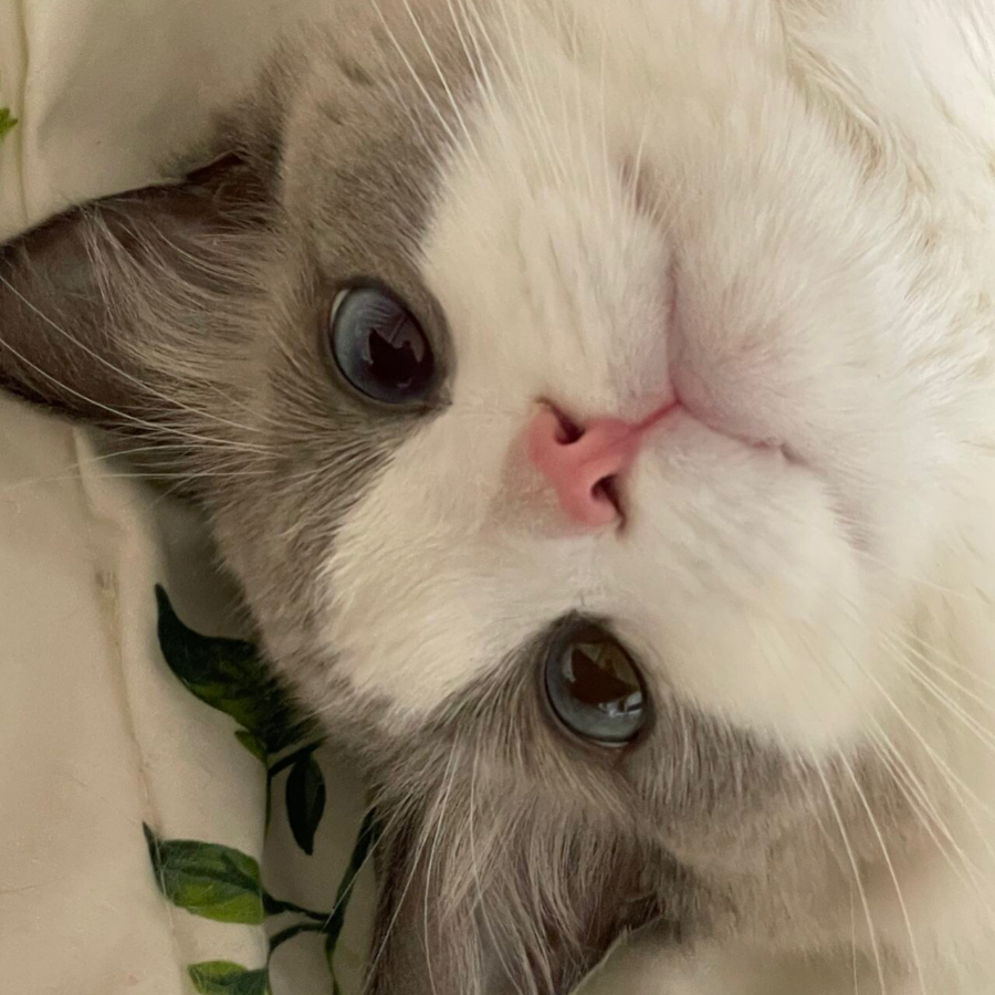 플로개 블로그 완전 정복