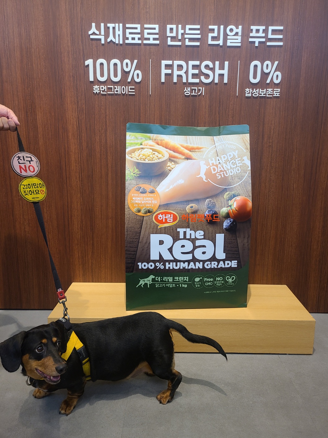 수원 스타필드 애견동반 달마시안 레스토랑