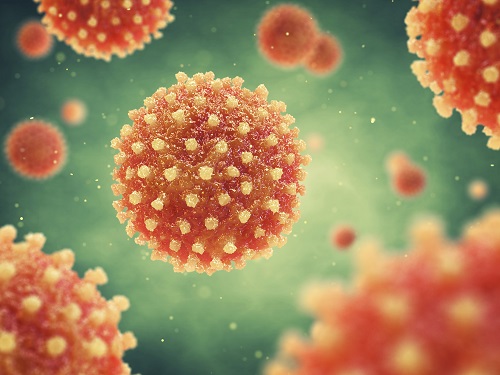 코로나 바이러스 특징
