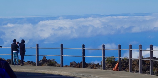 트래블 버블 뜻