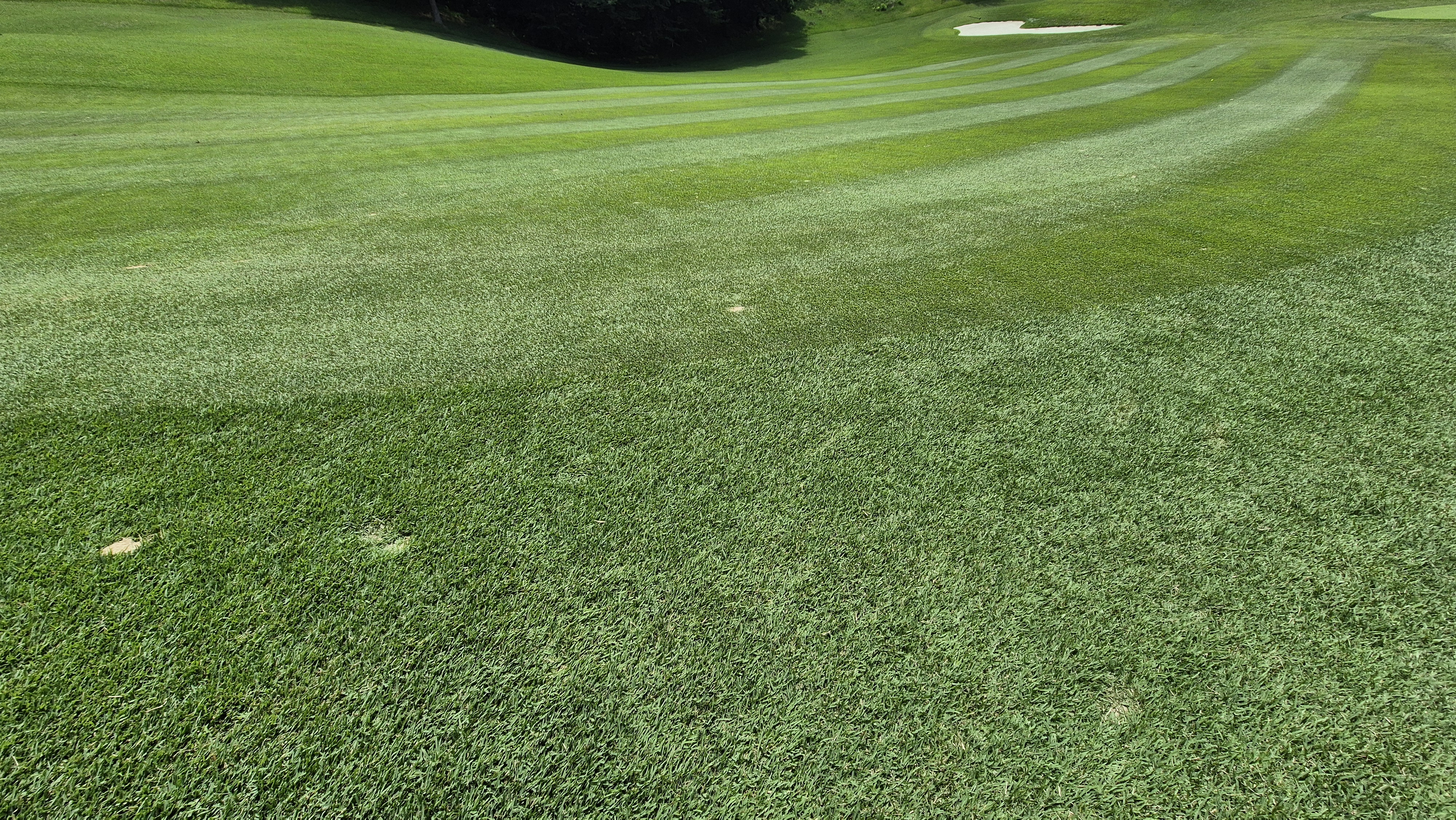 한성cc 오렌지-그린 코스 라운드 후기