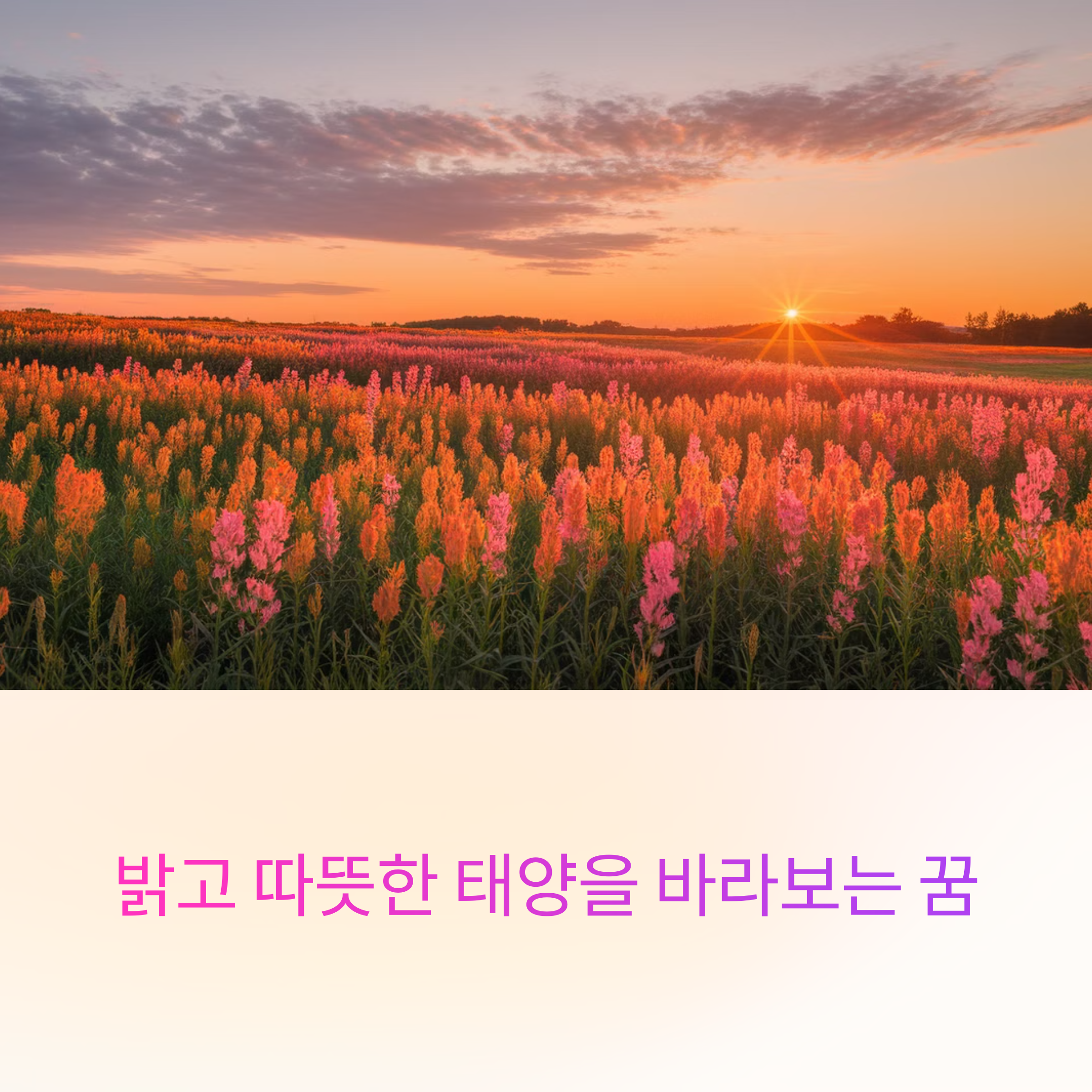 밝고 따뜻한 태양을 바라보는 꿈