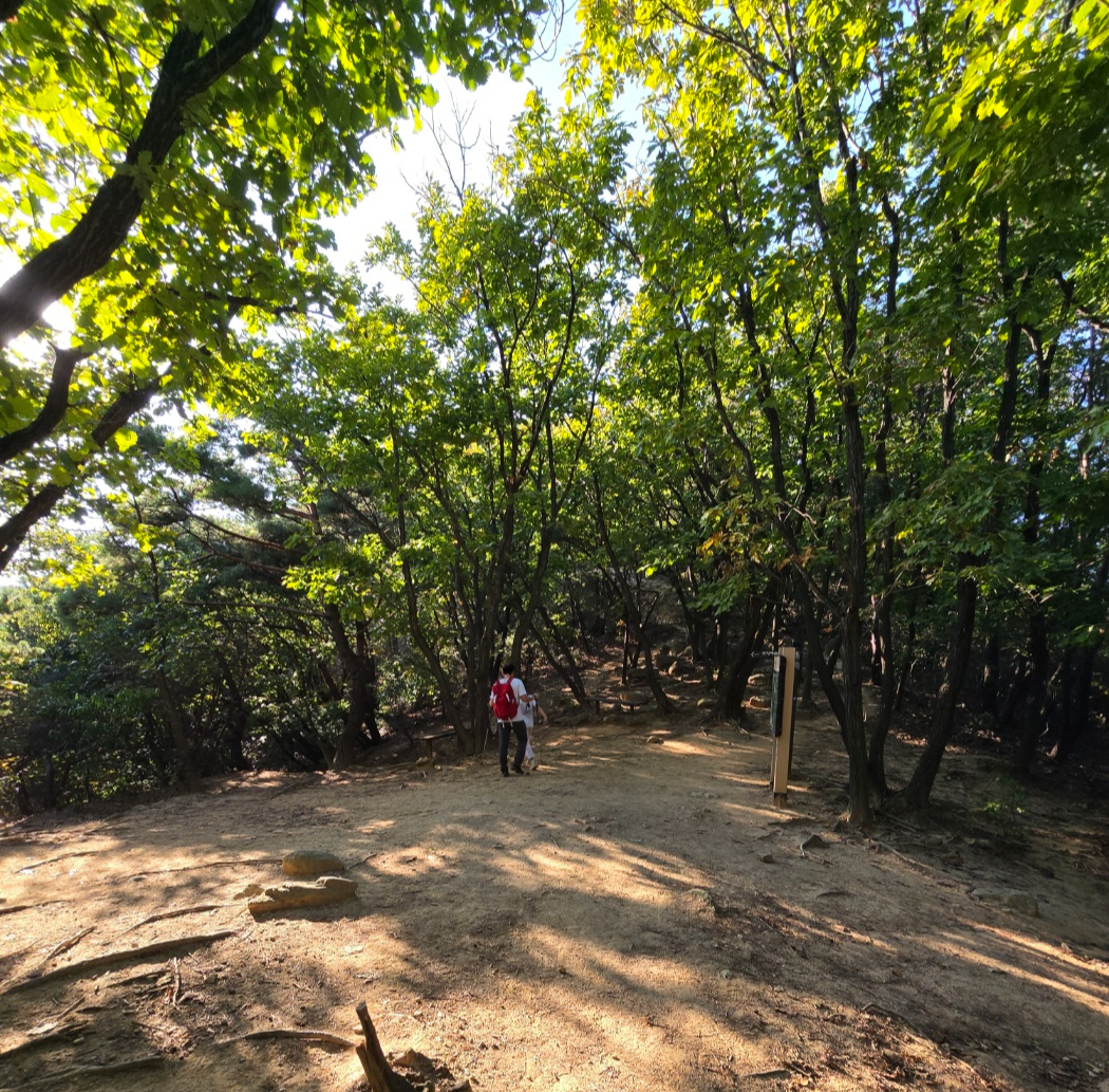 능선이 나오면 갈래길리 나옵니다.