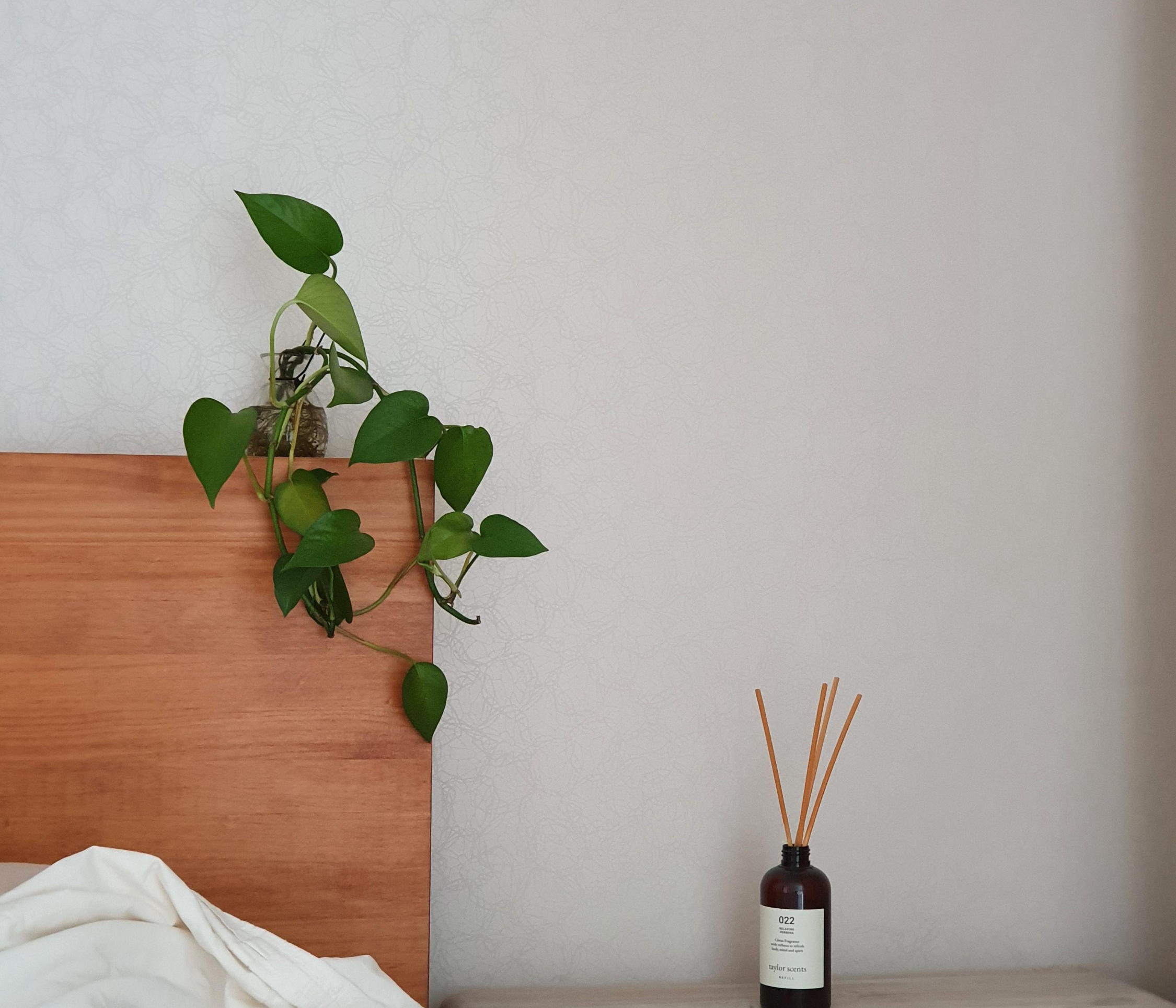 스킨답서스 사진