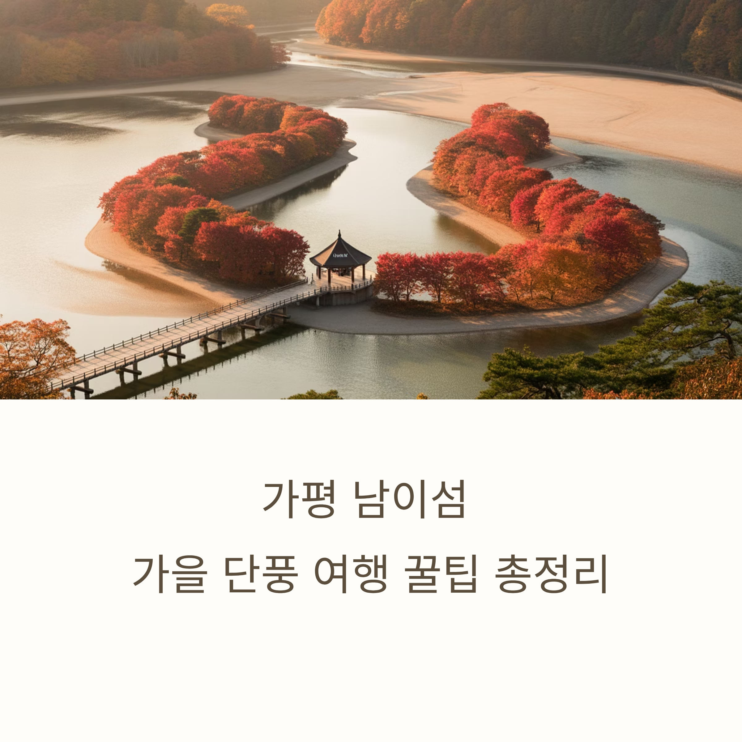 가평 남이섬 가을 단풍