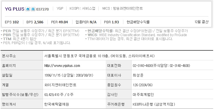 YG PLUS 주가 기업개요