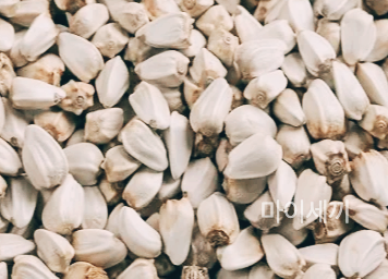 홍화씨 효능 홍화씨 가격 홍화씨 환 홍화씨 먹는법 홍화씨 분말