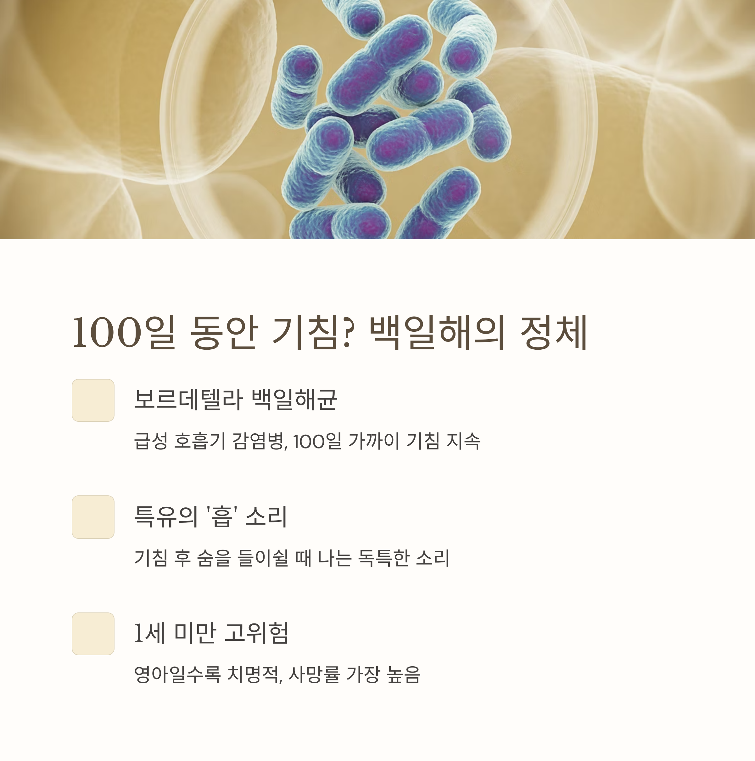 백일해균(보르데텔라 백일해균)의 이미지와 함께 주요 특징(기침 지속, 특유의 '흠' 소리, 1세 미만 고위험)을 설명한 인포그래픽