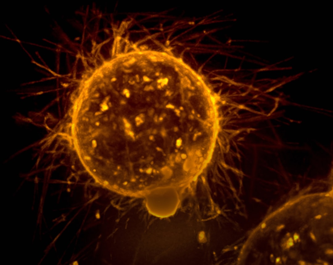 Metastasis