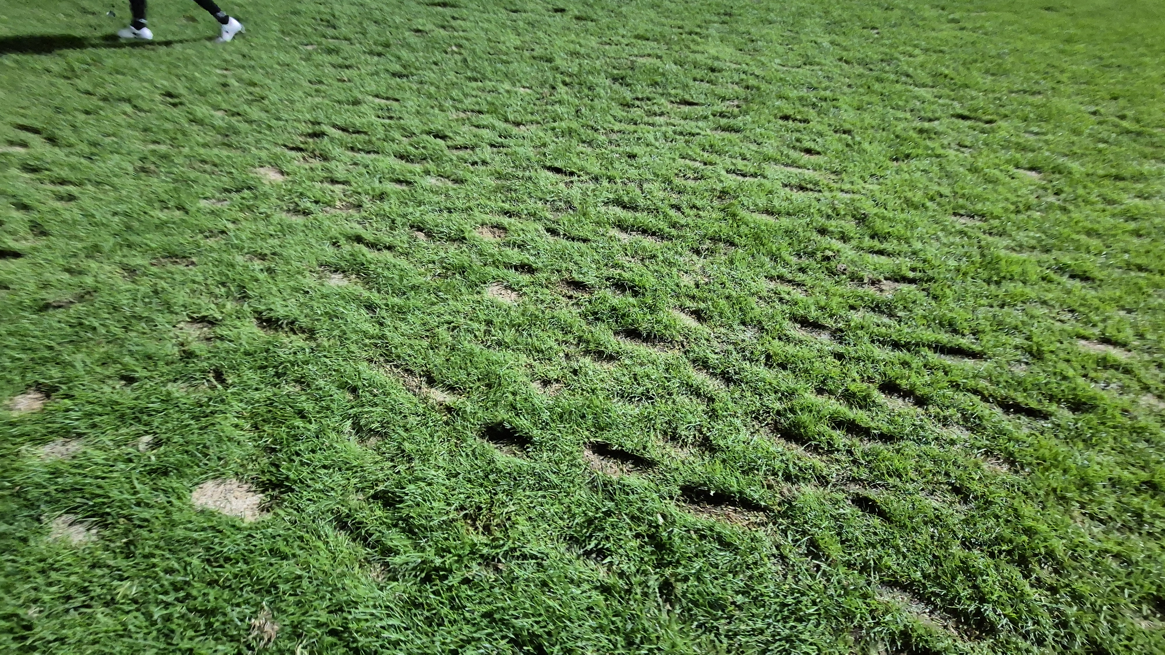 블랙스톤 벨포레cc 코스 관리 상태