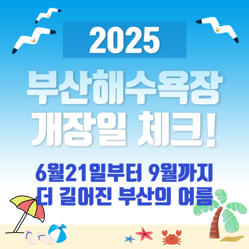 2025 부산 해수욕장 개장 총정리, 해운대부터 광안리까지 여름을 품다