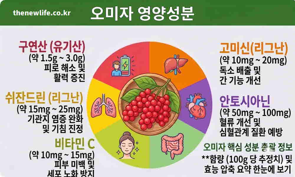 오미자차 효능 영양성분