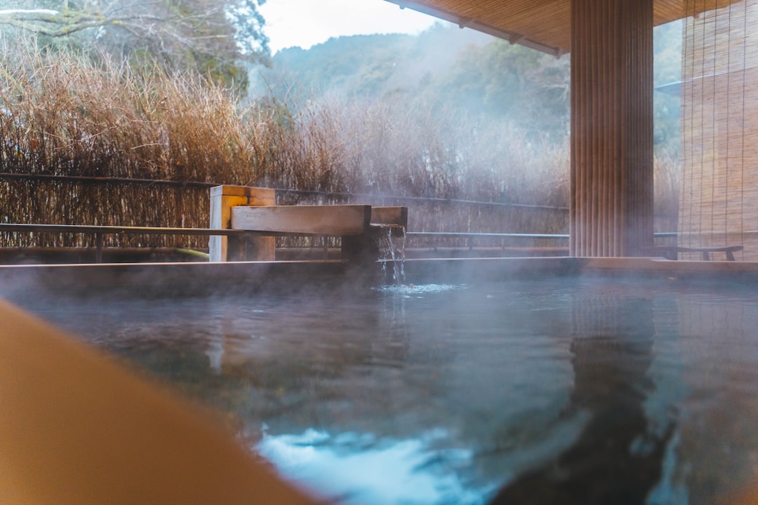 'Onsen'