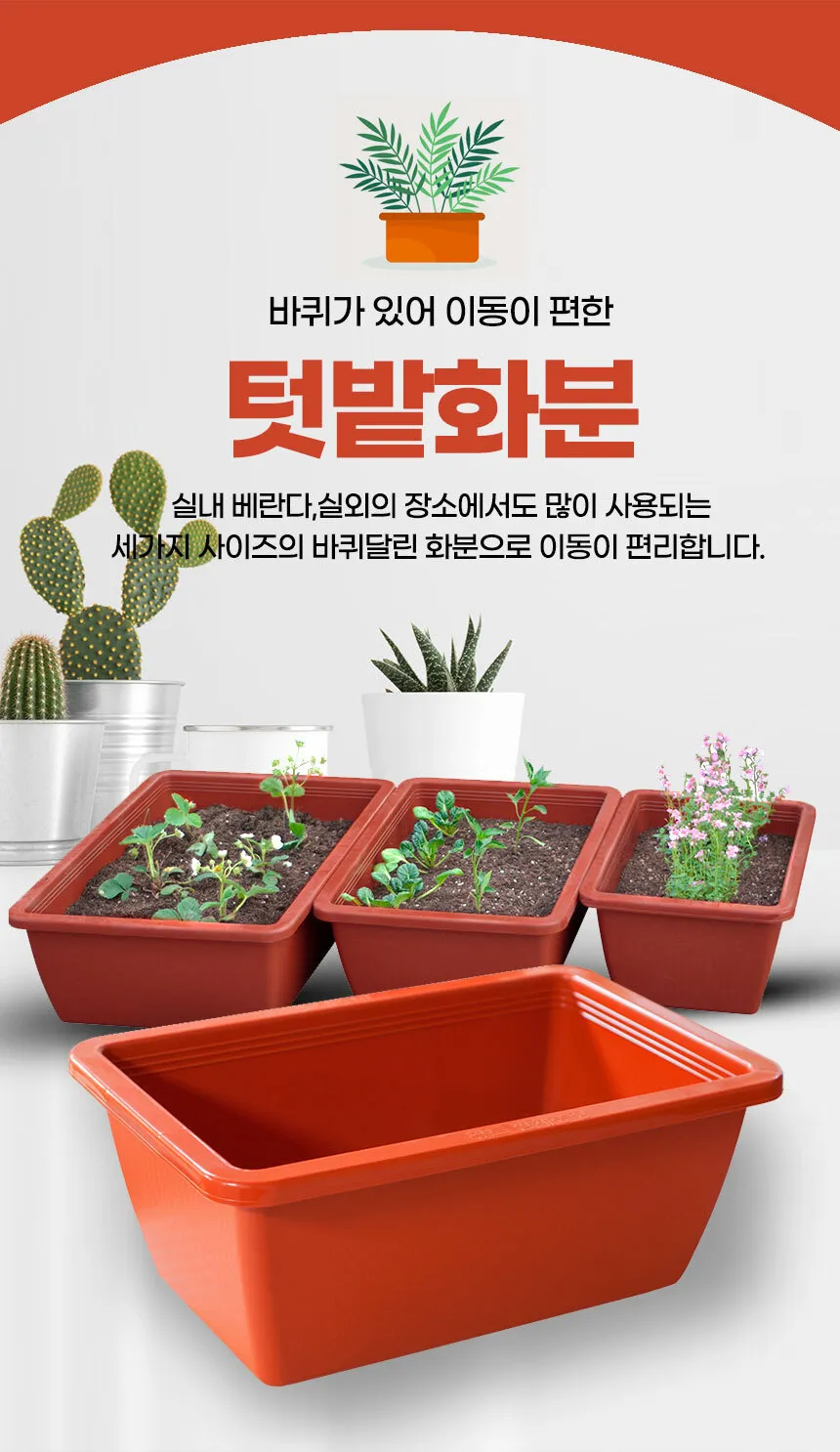 실내화분 이동 스트레스 줄이기 화분자리 변경 단계적적응 빛조절 요령_2