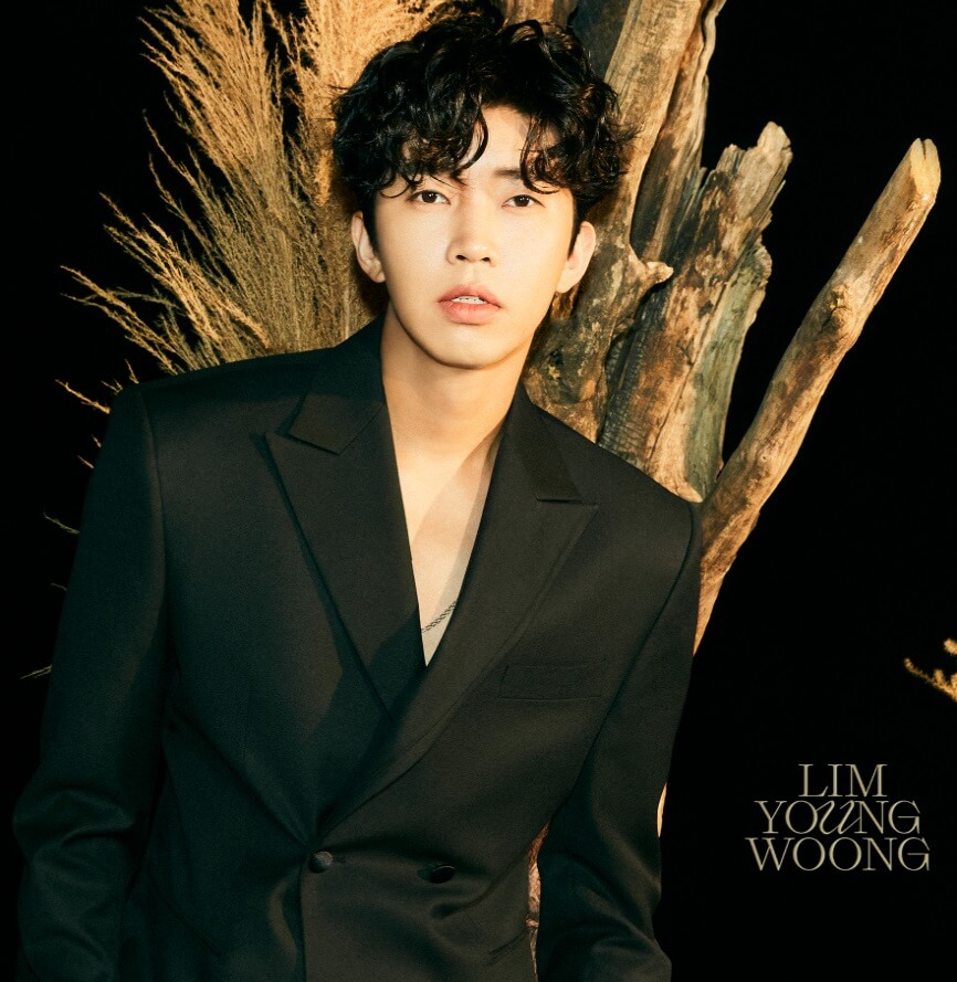 임영웅 콘서트 예매방법 예매 꿀팁