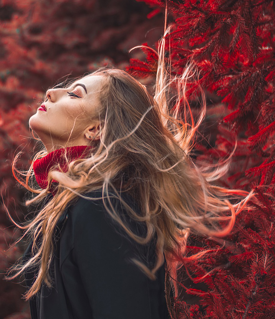 변환 전 이미지