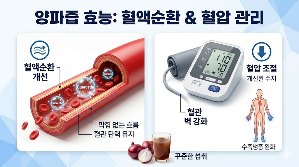 양파즙 효능