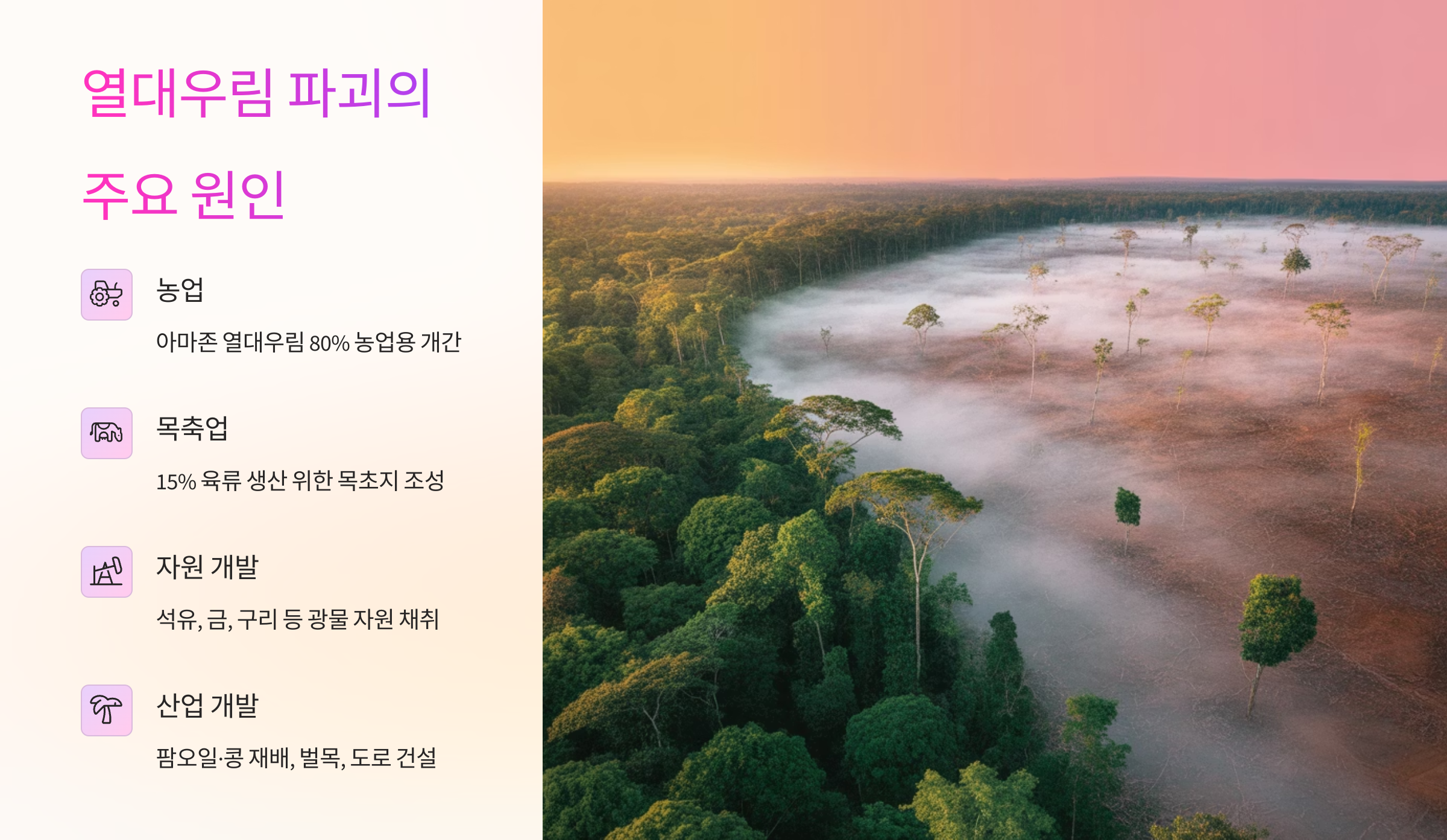 열대우림 파괴 원인