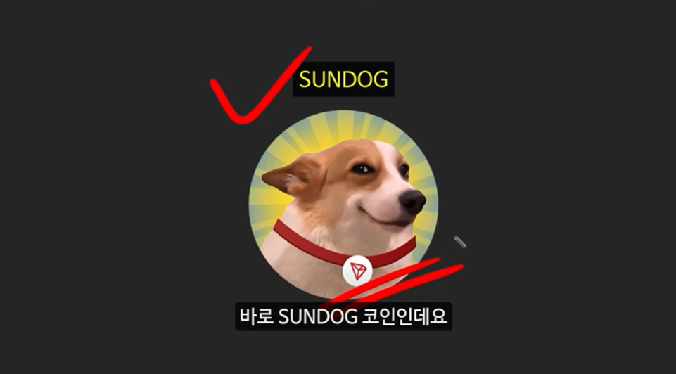 베이비 도지 코인의 급등 이유와 일론 머스크의 영향 ❘ 밈 코인 시장 전망