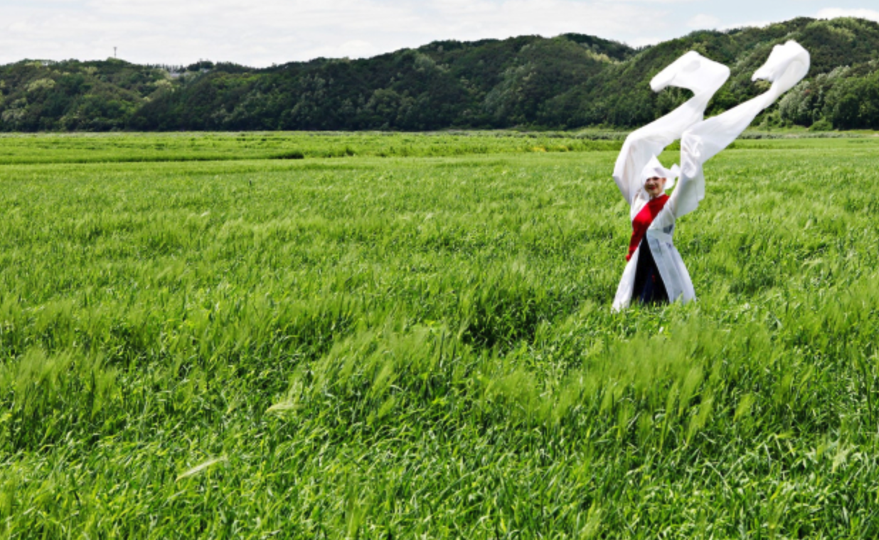 고창-청보리밭-축제