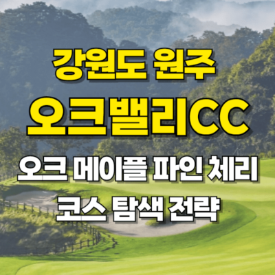 오크밸리cc 오크코스 메이플코스 파인코스 체리코스 카드뉴스
