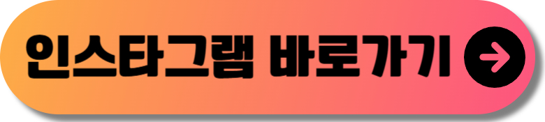 청춘썸머나잇