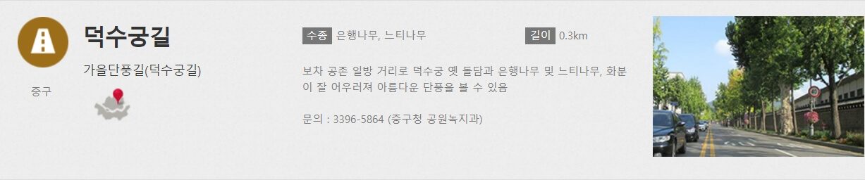 덕수궁길