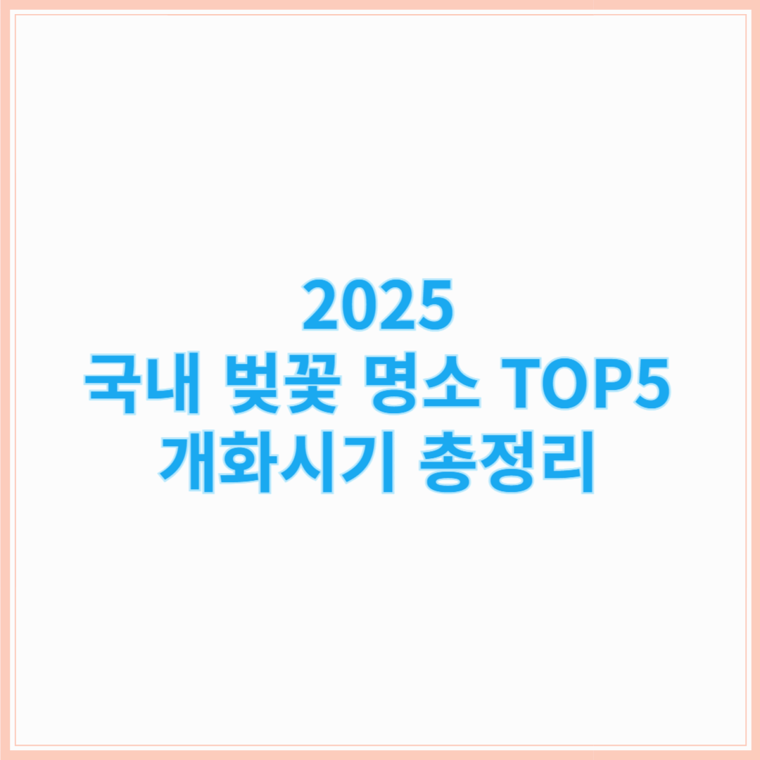 2025년 국내 벚꽃 여행 추천 명소 TOP 5 및 개화시기 총정리